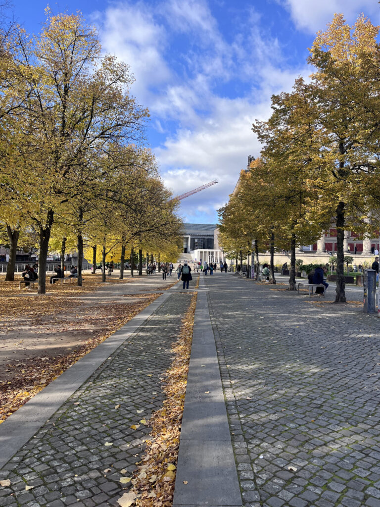 旧博物館横の並木道