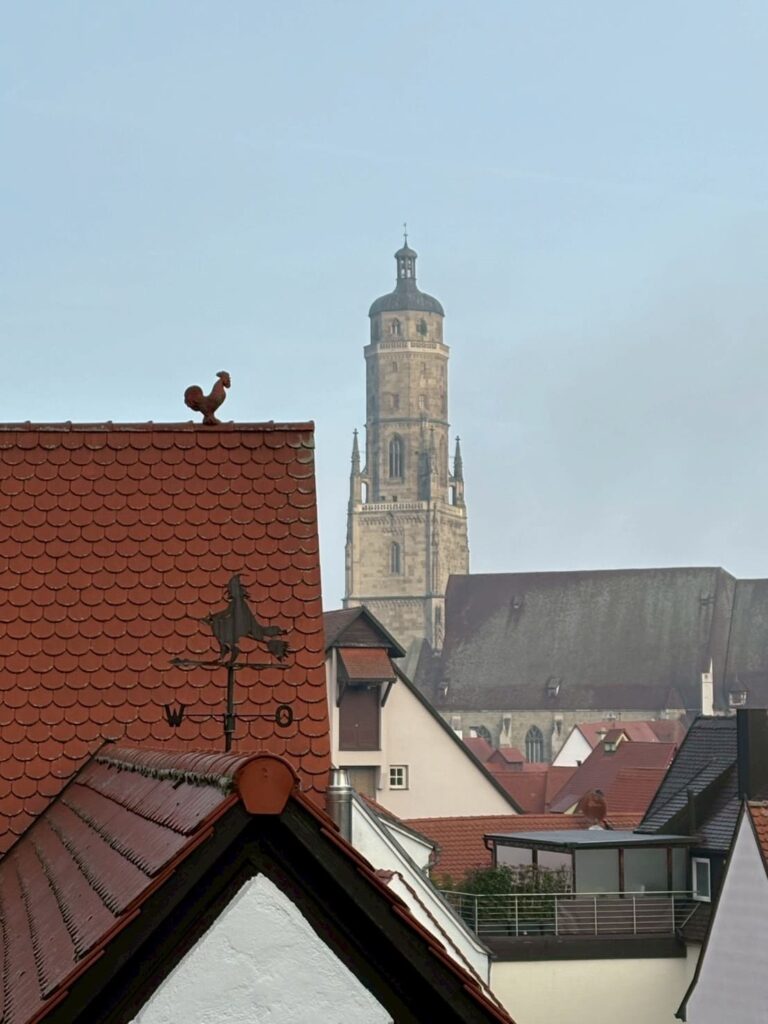 家々の屋根と遠くに見える塔