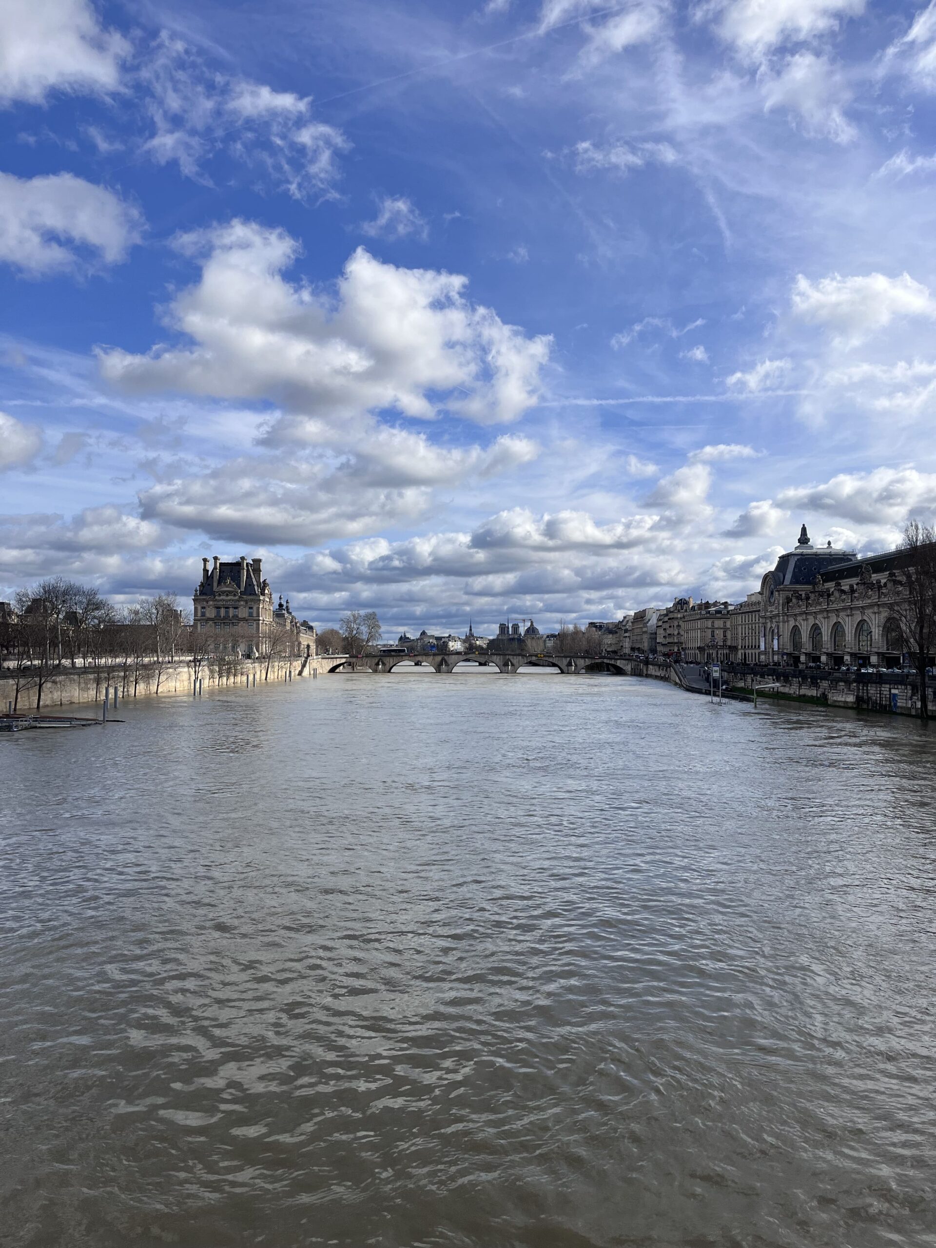 橋から眺めるセーヌ川の景色