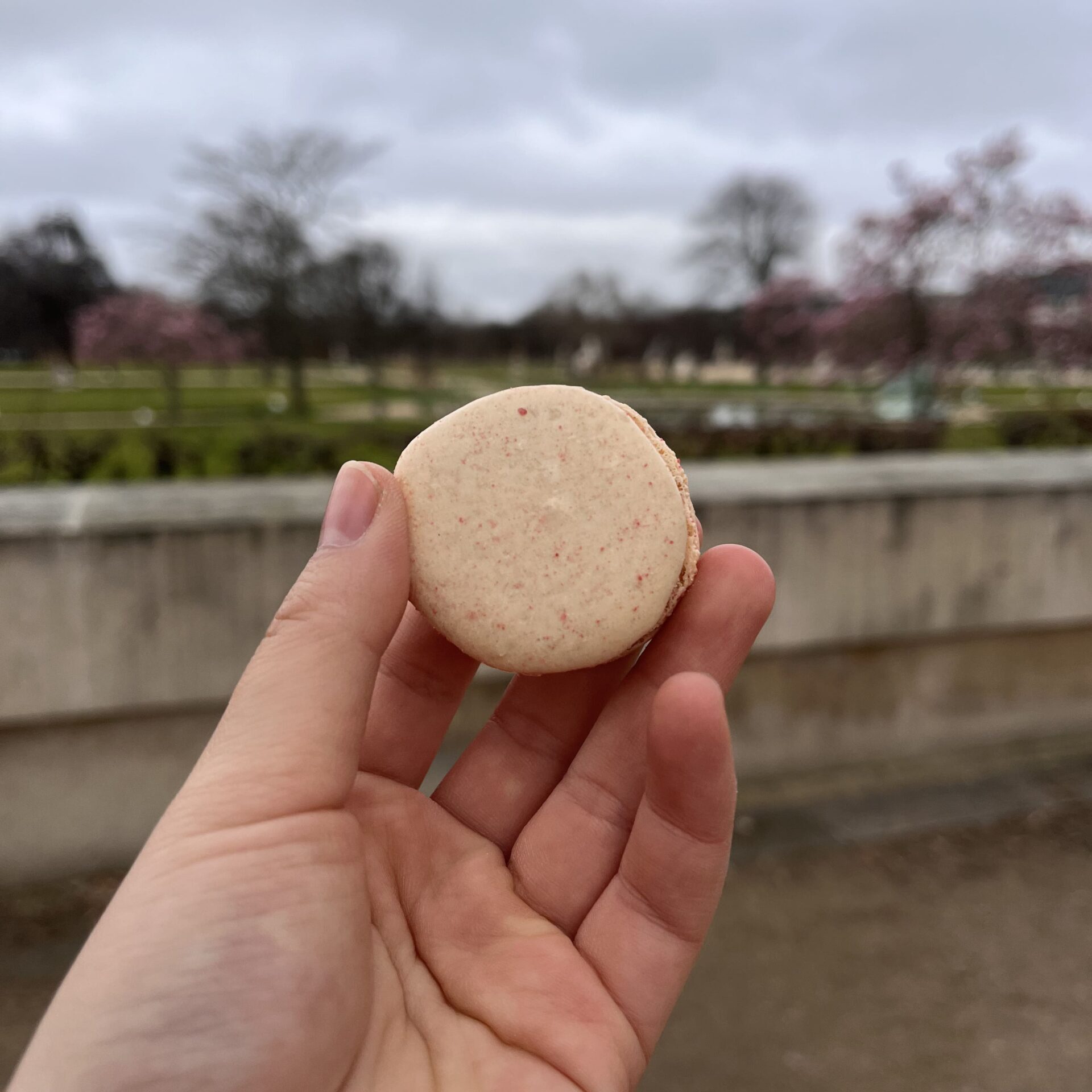 公園を背景にマカロンを持つ様子