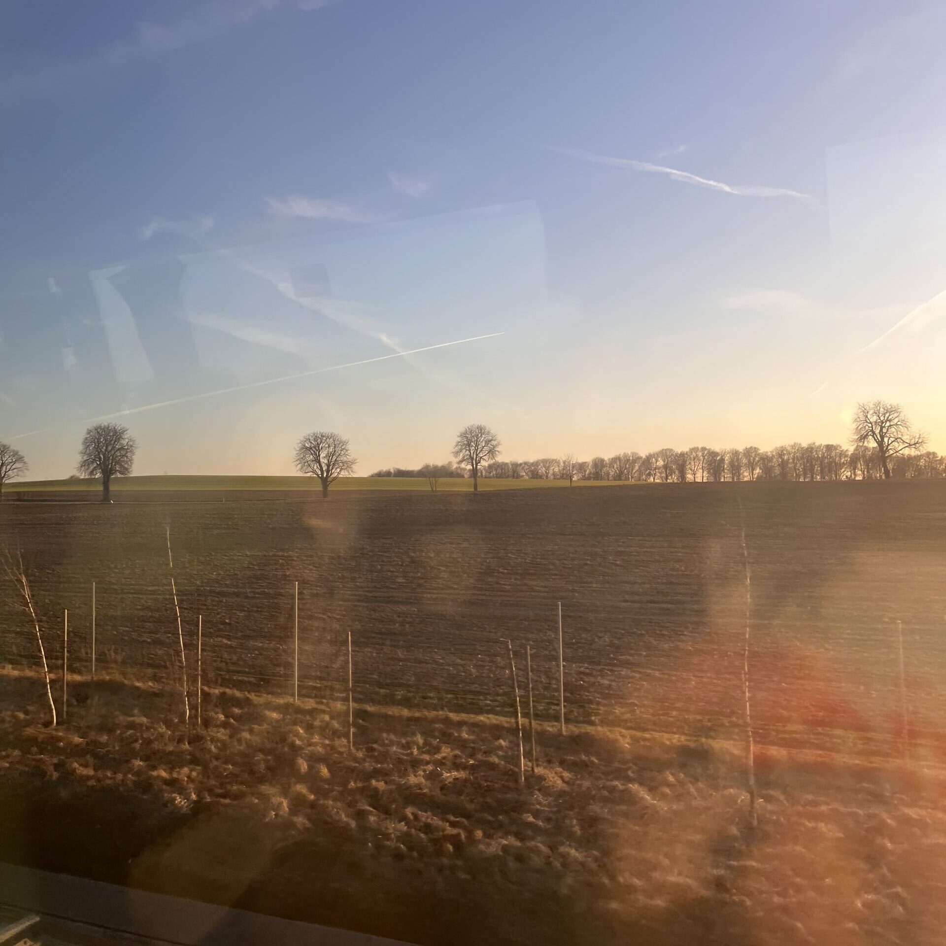 バスの車窓から写したポーランドの自然